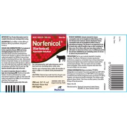 Norfenicol Injection RX 100ml