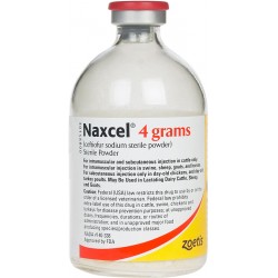 Naxcel 4gm RX