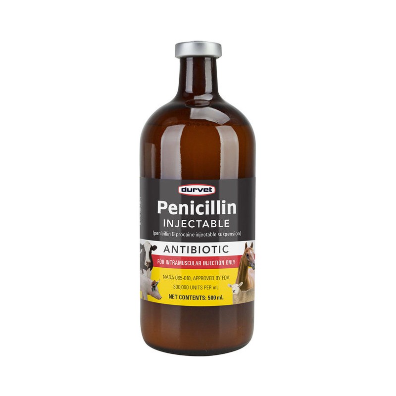 Penicillin Aqueous 500ml
