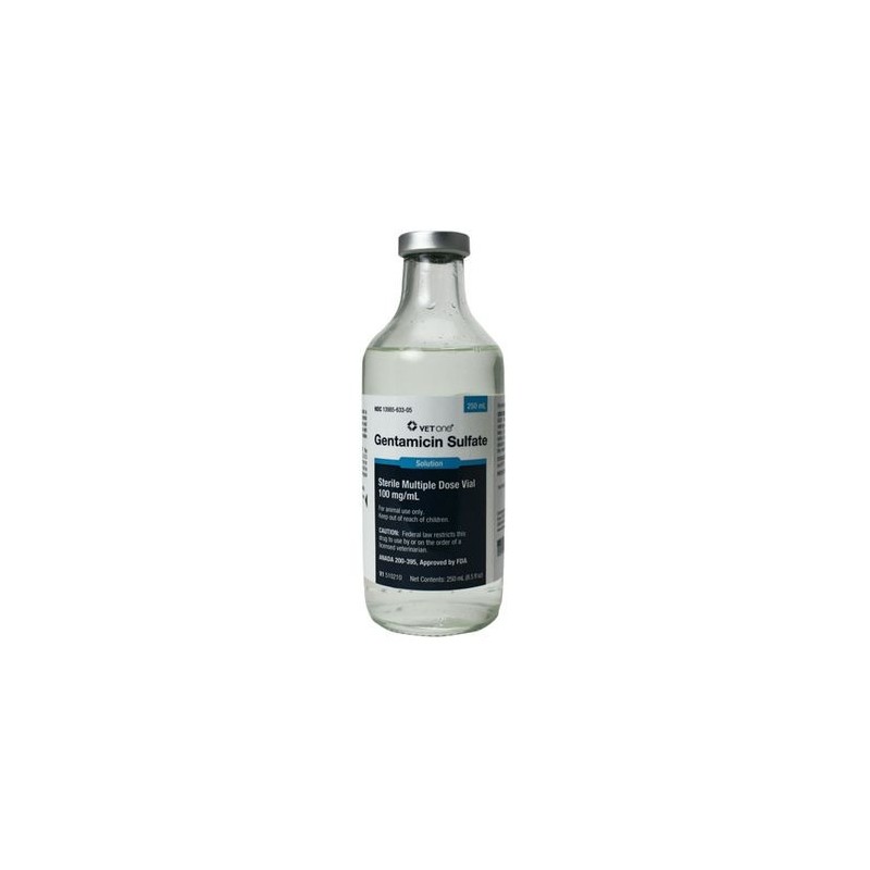 Gentamicin 100mg / 250ml - Rx