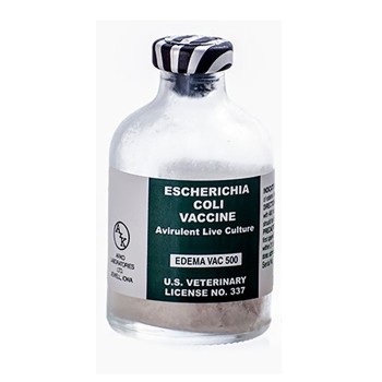Edema Vac 500 Escherichia Coli Swine Vaccine, Avirulent Live Culture, 500 DS.